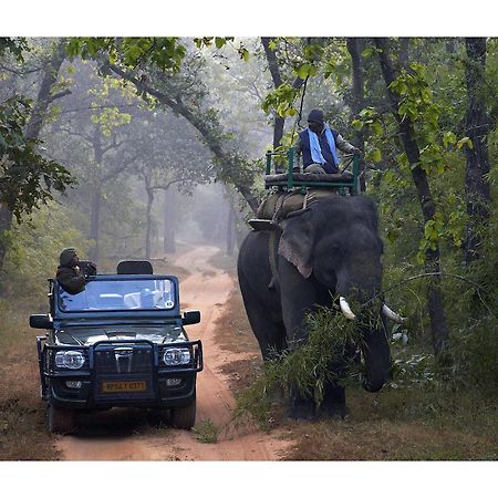 Samode Safari Lodge Parasi Екстер'єр фото