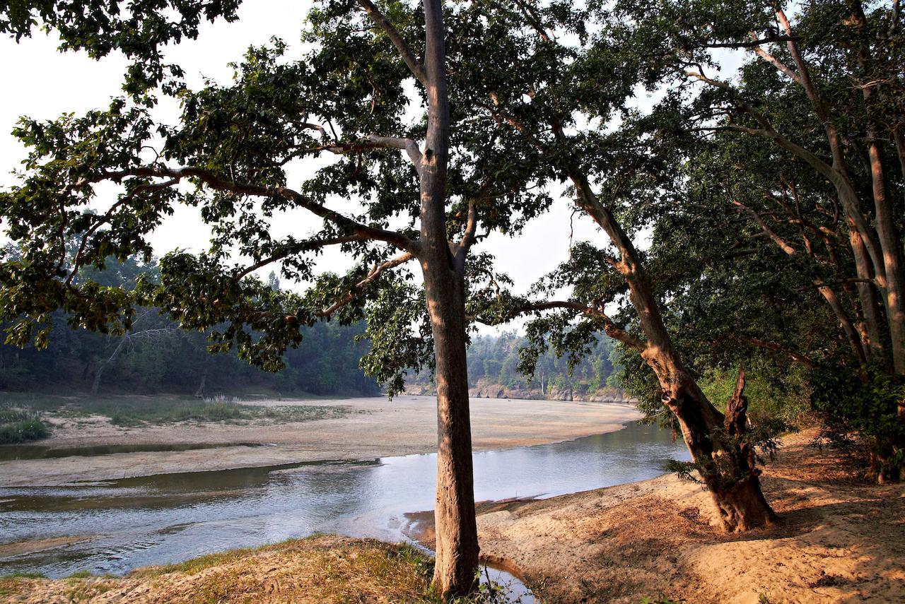 Samode Safari Lodge Parasi Екстер'єр фото